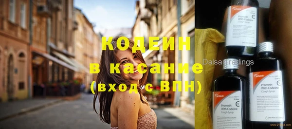 прущие грибы Корсаков