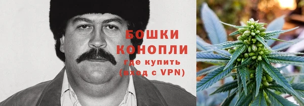 индика Краснотурьинск