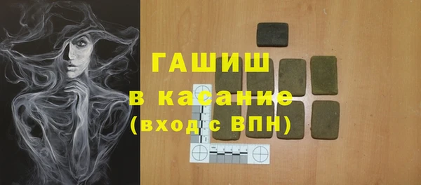 индика Краснотурьинск