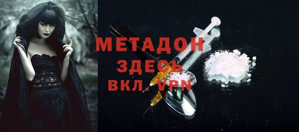 прущие грибы Корсаков