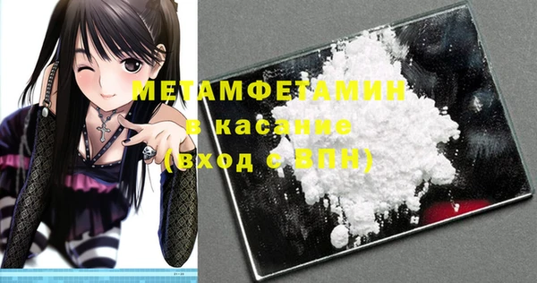 прущие грибы Корсаков
