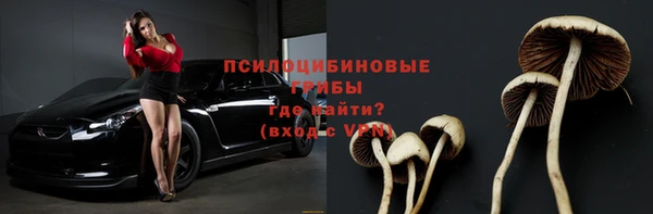 индика Краснотурьинск