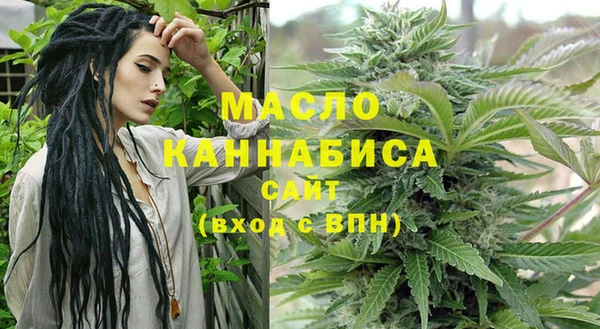 индика Краснотурьинск