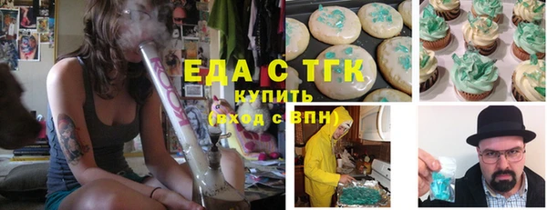 индика Краснотурьинск