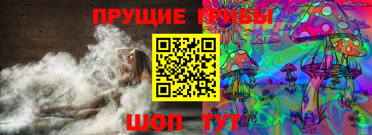 Кинель  Галлюциногенные грибы Psilocybine cubensis  Вход с VPN  закладки  Псилоцибиновые грибы ЛСД 